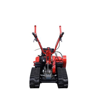 ماشین چمن زنی لاوم